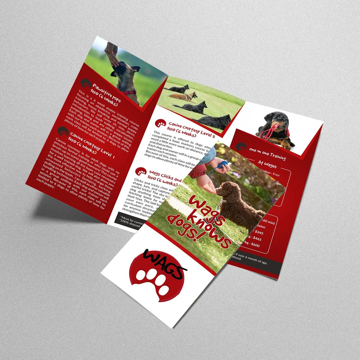 Wag Knows Dogs - Brochure by WeAreCreatives