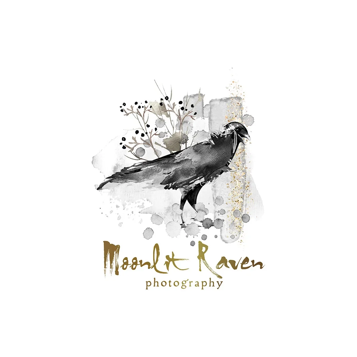 Moonlit Raven Photography - Illustration Logo by WeAreCreatives
